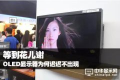 OLED成熟度不足，恐難迎來“LED式”大爆發