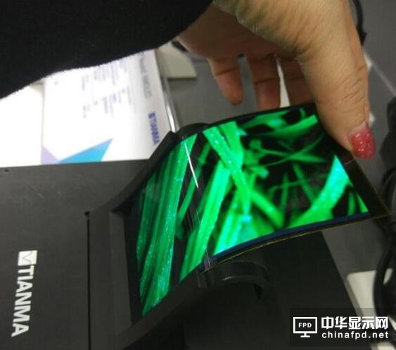 天馬威武！國產OLED柔性屏公開展出