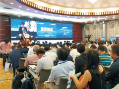 中國推開顯示強國大門后，該如何更好布局？