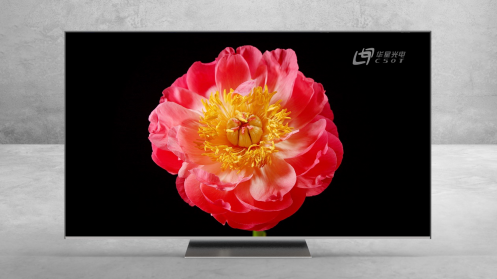 TCL TV張少勇：TCL Mini LED已量產 全球銷量市占率超90%